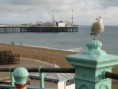 /album/photo-gallery-palace-pier-brighton/a02-jpg12/