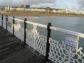 /album/photo-gallery-palace-pier-brighton/a15-jpg8/